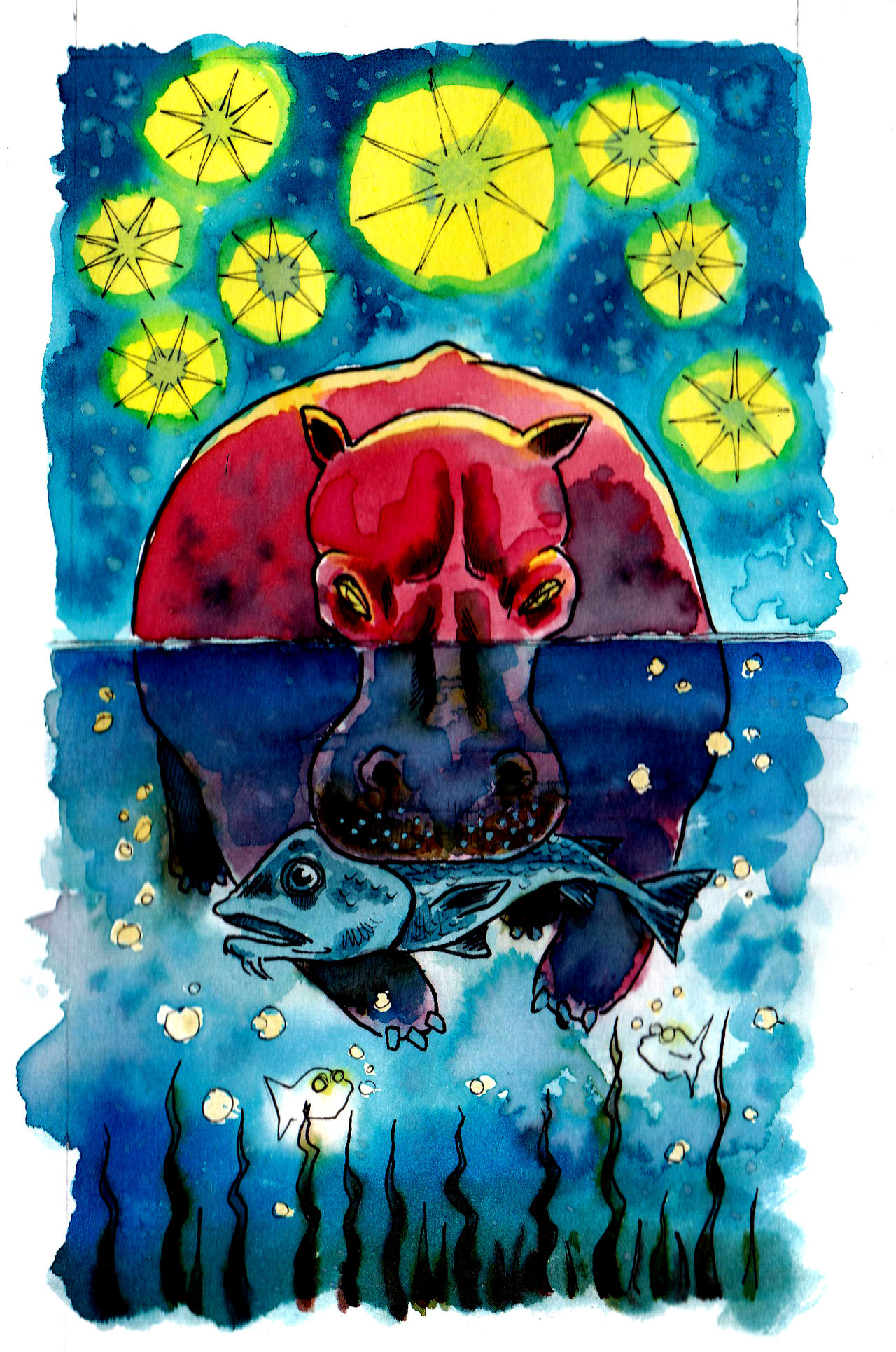 hippo
