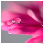 drop III by thescal