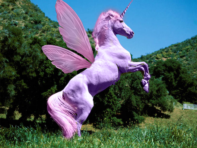 The Purple Unicorn part 2