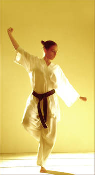 TAI CHI CHUAN TWO