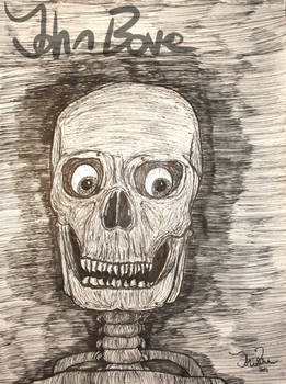 The Skeleton's Portrait