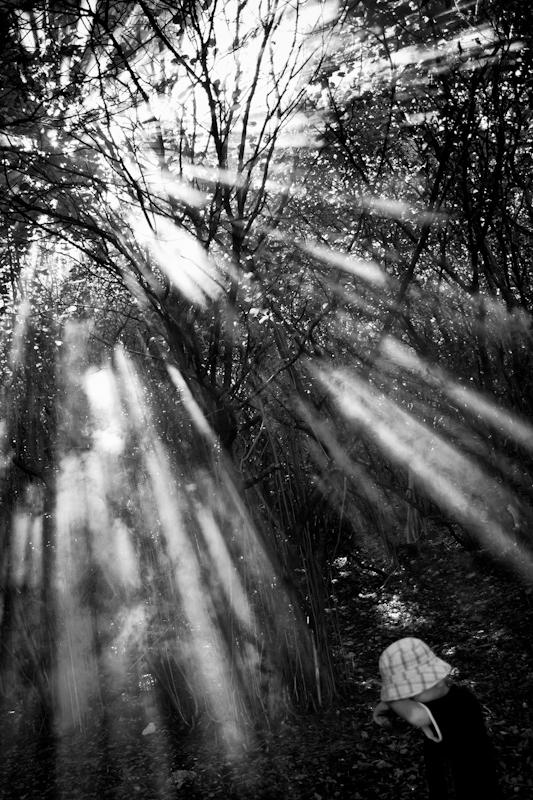 Too Much Light by eni21 on DeviantArt