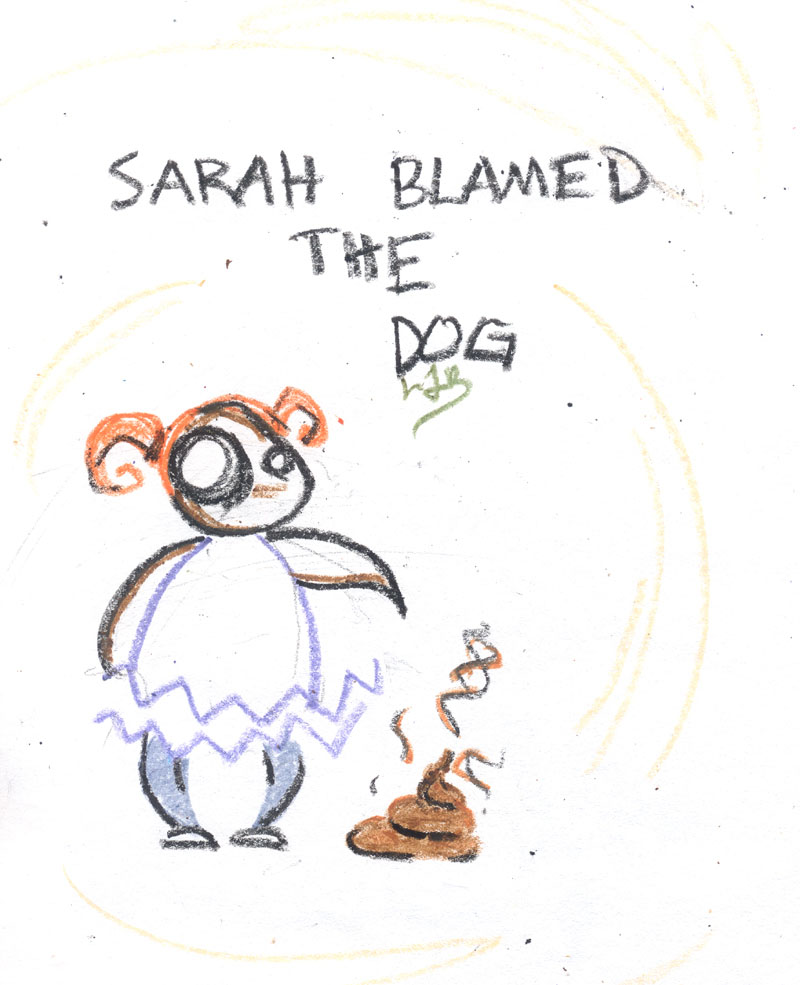 Sarah Blamed the Dog