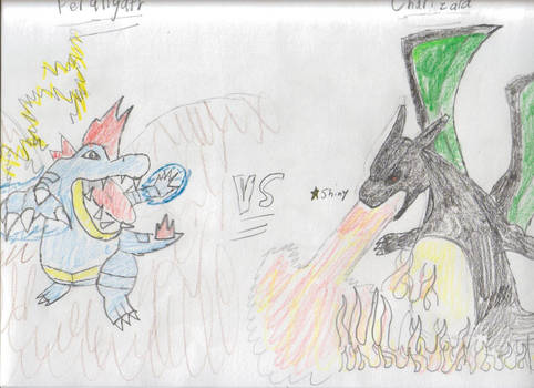 Charizard vs Feraligatr