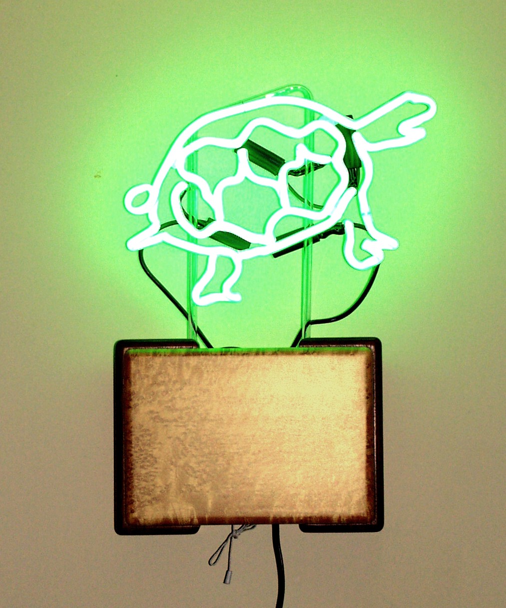 Neon Turtle by tommyb709 on DeviantArt