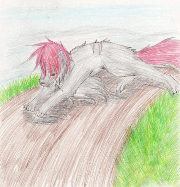 Shadow Running Deviantart Running Shadow Lord by BlueWolfie17 on DeviantArt