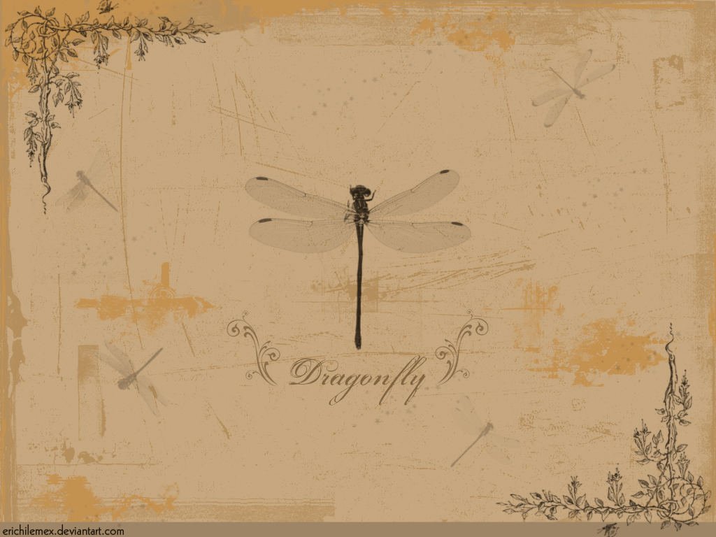 Dragonfly