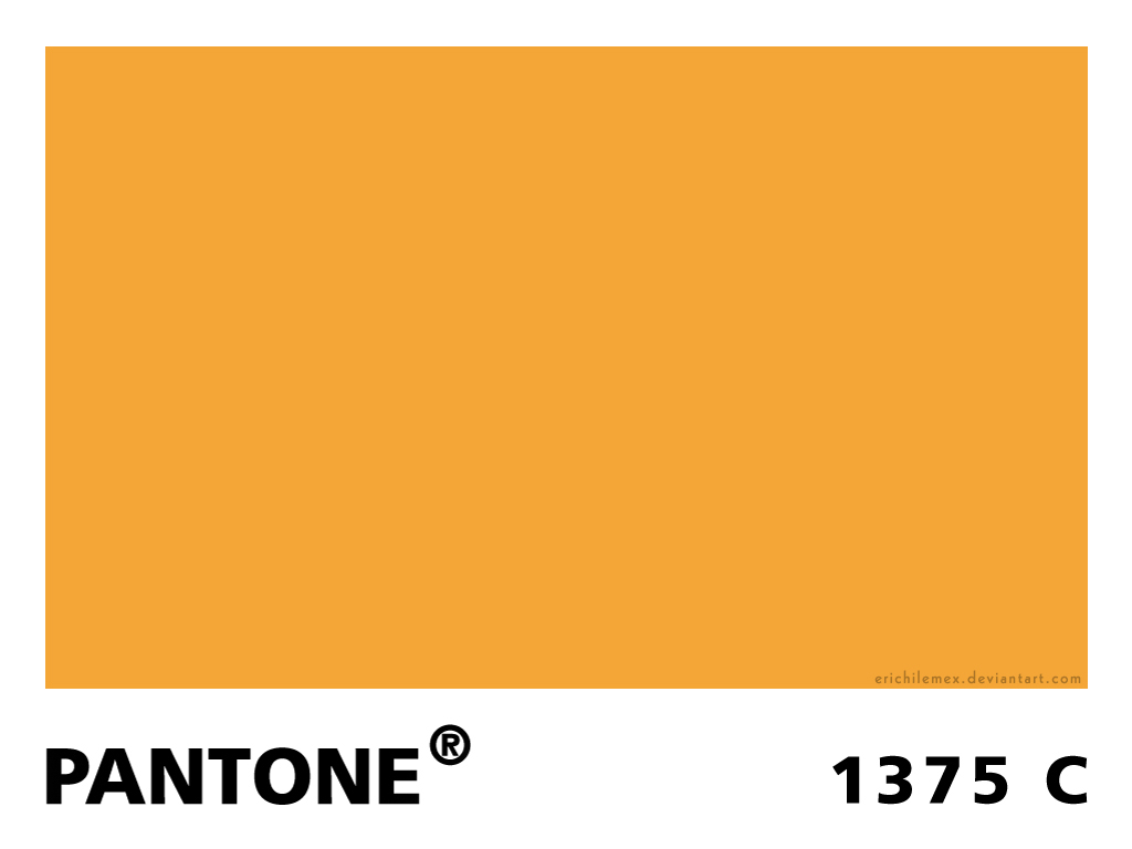 pantone series - orange