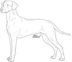 Free Dalmatian Lineart