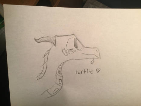 Turtle :D