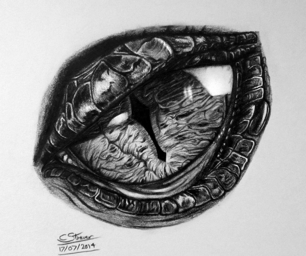 Dragon Eye Drawing