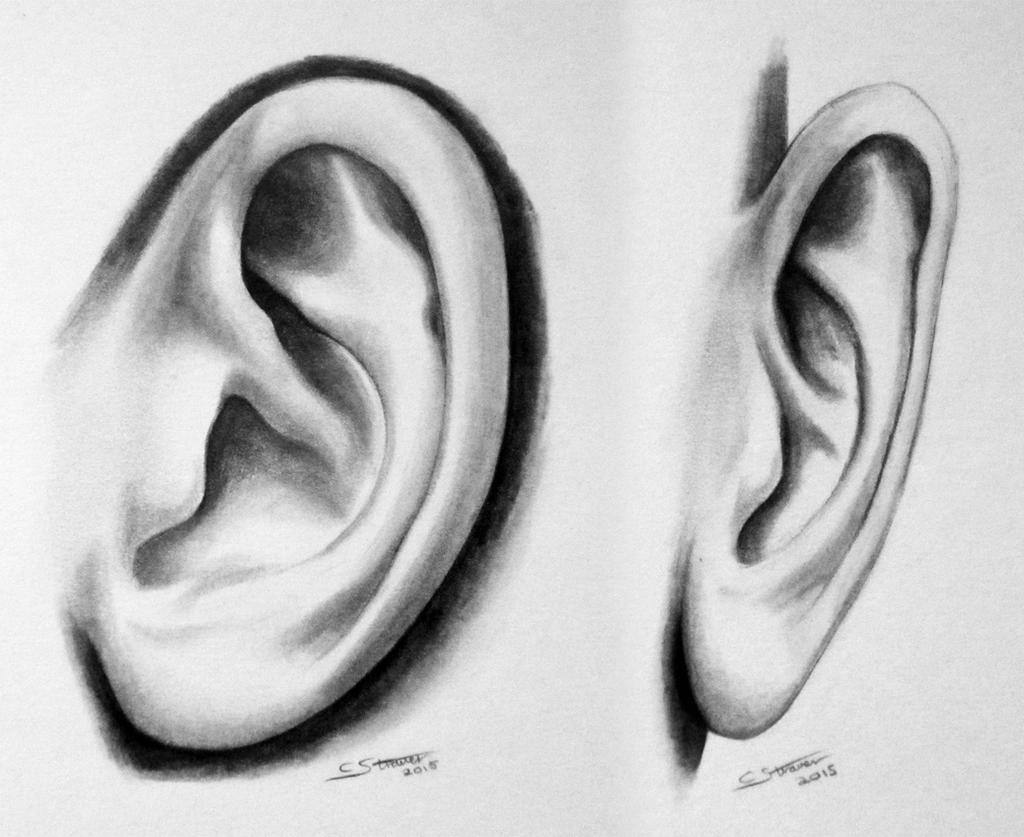 How to Draw an Ear Step by Step - Side View
