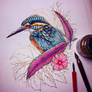 Kingfisher - Gold Ink Drawing
