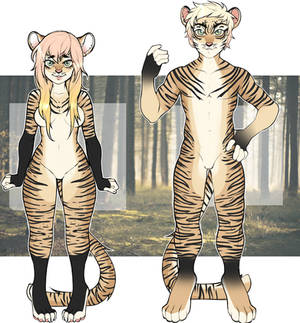 Twin tiger adopts + CLOSED+