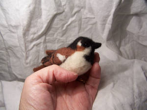 Needle Felted House Sparrow 2