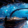 Underwater Restaurant