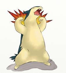 Typhlosion is the Victor! x)