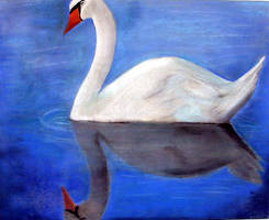 swan