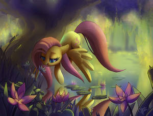 Fluttershy