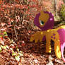 stroll with Fluttershy