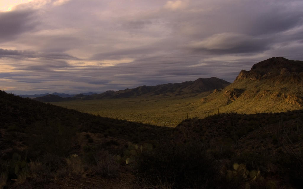 Late Arizona Winter Afternoon