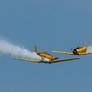 Harvards At Hamilton 2013 03