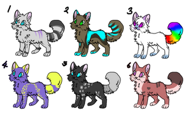 Cheap kitty adopts (open)