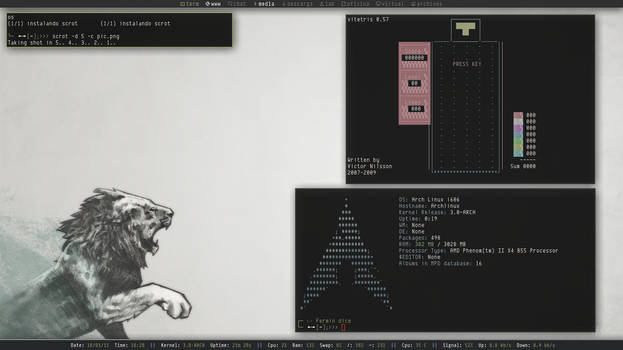 Archlinux + Subtle The Lion