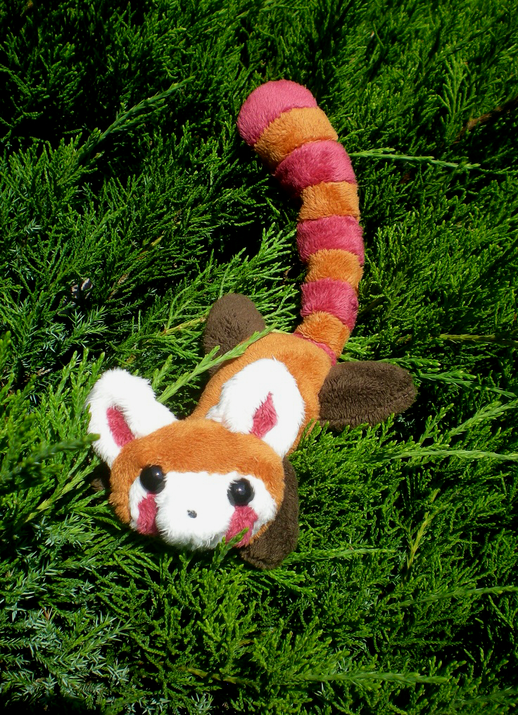 Pabu Doll