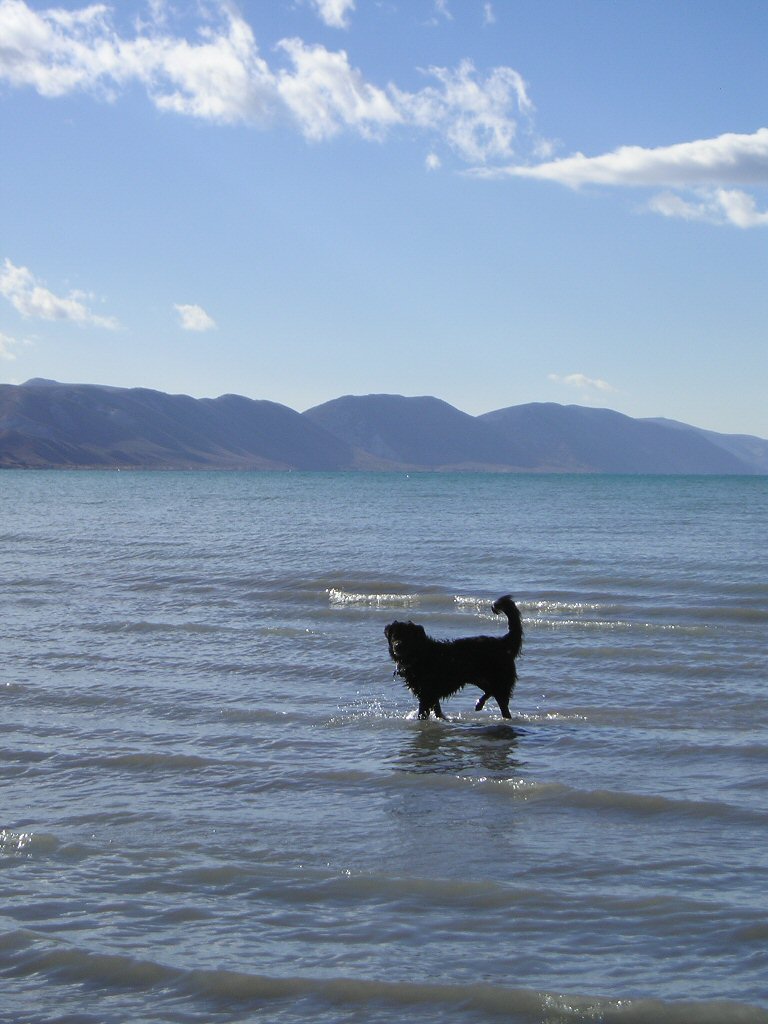 Sadie In The Lake