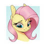 Fluttershy