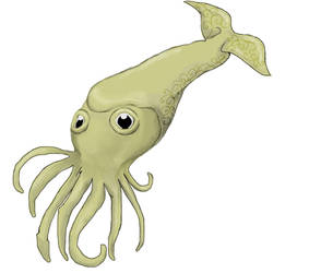 Mr. Squidly