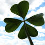 four-leaf clover