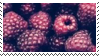 raspberries_aesthetic_stamp_by_hematolog