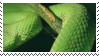 green_snake_aesthetic_stamp_by_hematology_dbq2su9-fullview.png?token=eyJ0eXAiOiJKV1QiLCJhbGciOiJIUzI1NiJ9.eyJzdWIiOiJ1cm46YXBwOjdlMGQxODg5ODIyNjQzNzNhNWYwZDQxNWVhMGQyNmUwIiwiaXNzIjoidXJuOmFwcDo3ZTBkMTg4OTgyMjY0MzczYTVmMGQ0MTVlYTBkMjZlMCIsIm9iaiI6W1t7ImhlaWdodCI6Ijw9NTYiLCJwYXRoIjoiXC9mXC9jZjc5ZTA4Ny1jNGUwLTQwNmUtOGVlZC1mYzYyZTExNDIwNTZcL2RicTJzdTktNGEwZTYyMWEtZjgzNy00MTNhLTgxYWItY2QyMTlmNzg2ZDhiLnBuZyIsIndpZHRoIjoiPD05OSJ9XV0sImF1ZCI6WyJ1cm46c2VydmljZTppbWFnZS5vcGVyYXRpb25zIl19.dz_AlCtT_uZOw-7gwFmzTtwCKodVHGs4Ephiha88rfU