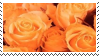 orange_roses_aesthetic_stamp_by_hematolo