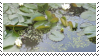 pond stamp