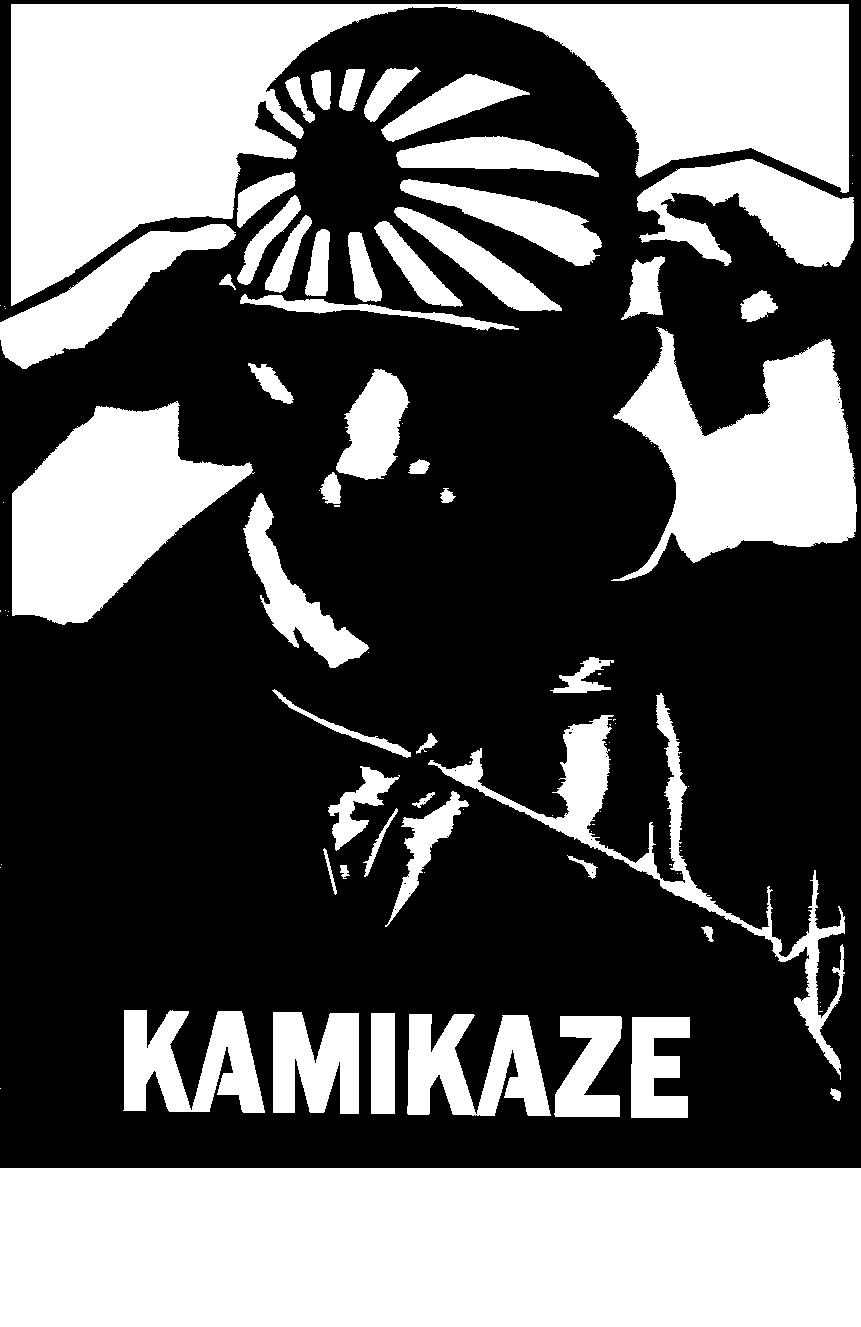 Камикадзе вектор