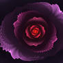 Fractal Art: Rose
