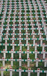 Remembrance 1 by dpt56