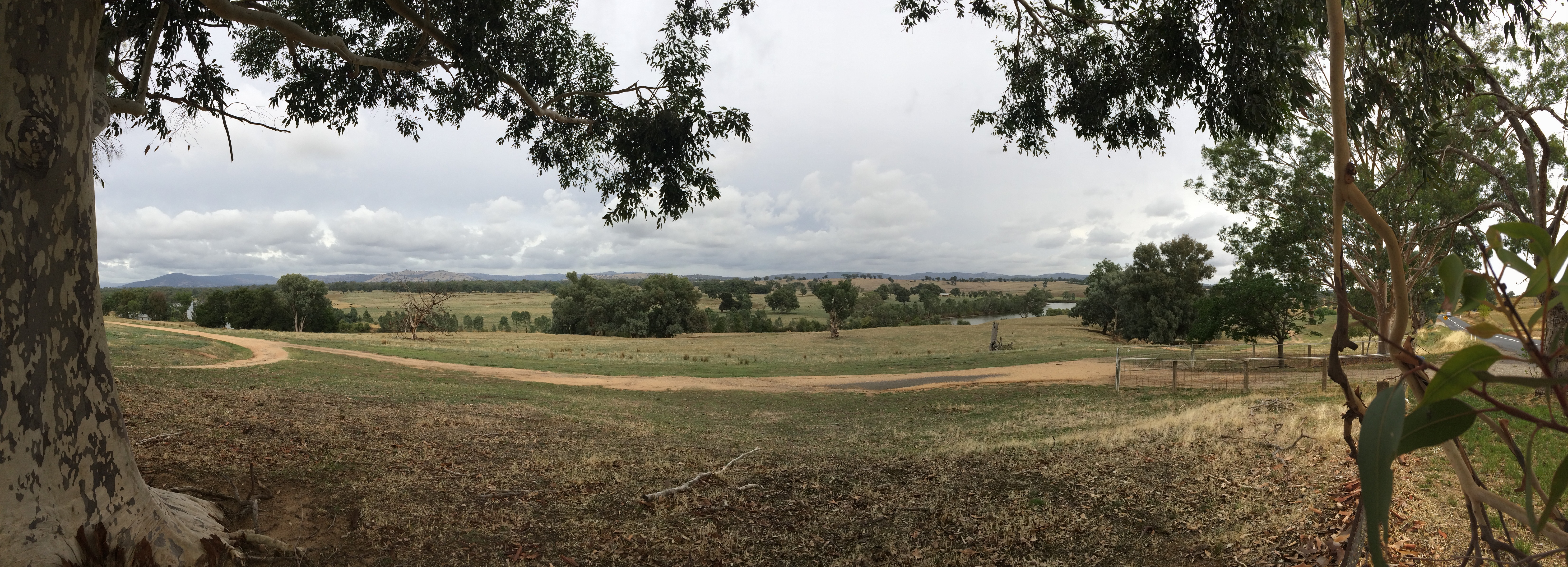 Near Albury, New South Wales