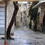 Jewish Quarter, Old City Jerusalem