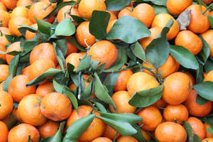 Mandarines, Bangkok