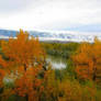 Orange trees, blue mountains.