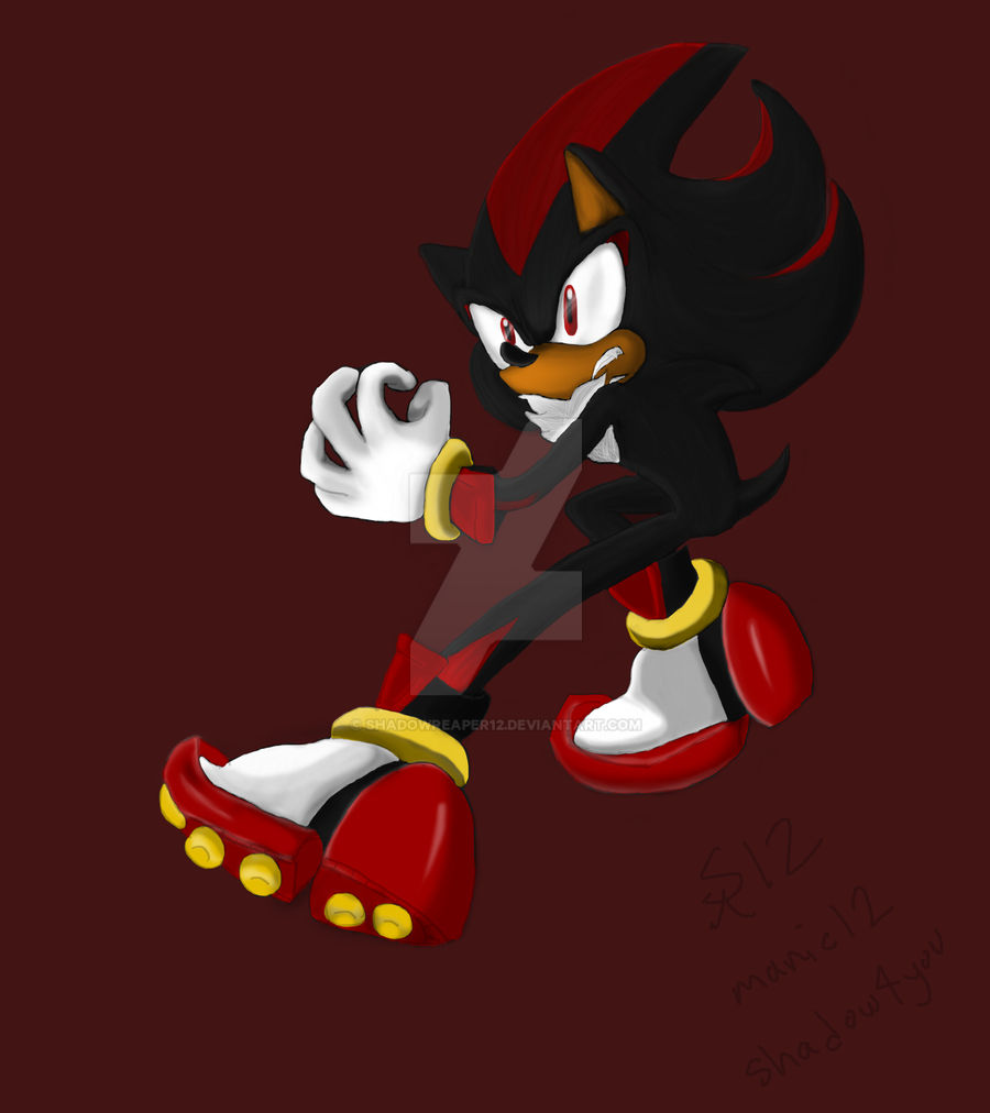 Shadow Raaaaaaar Shadow - Part 3 by ShadowReaper12 on DeviantArt
