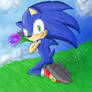 Simple Sonic