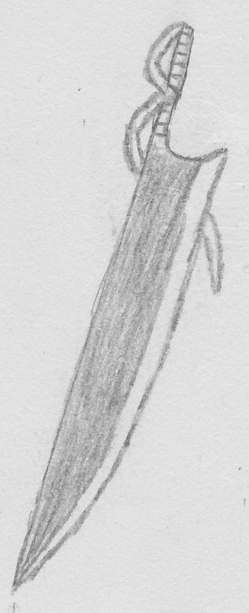 Ichigo S Zanpakuto Zangetsu From Bleach By Chongjoiart On Deviantart Ichigo S Zanpakuto Zangetsu From Bleach By Chongjoiart On Deviantart