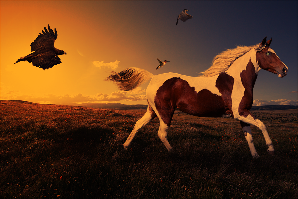 Tag You're It by UrBeautifulAddiction