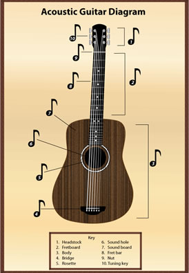 Guitar infographic