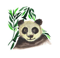 Panda with bamboo